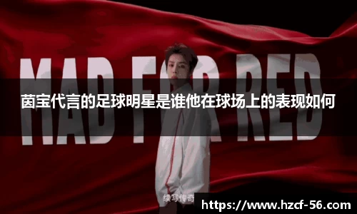 贝博BB艾弗森官网